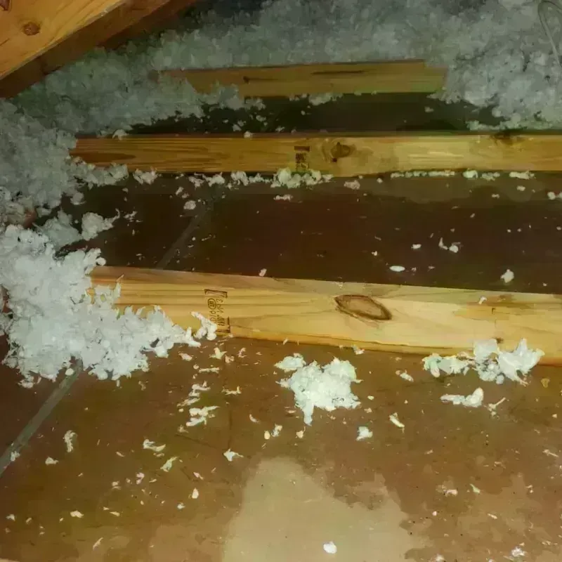 Attic Water Damage in Cherry Hill Mall, NJ