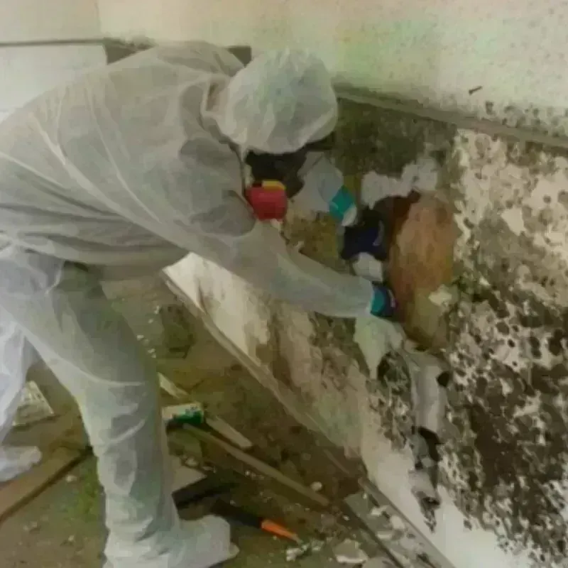 Mold Remediation and Removal in Cherry Hill Mall, NJ